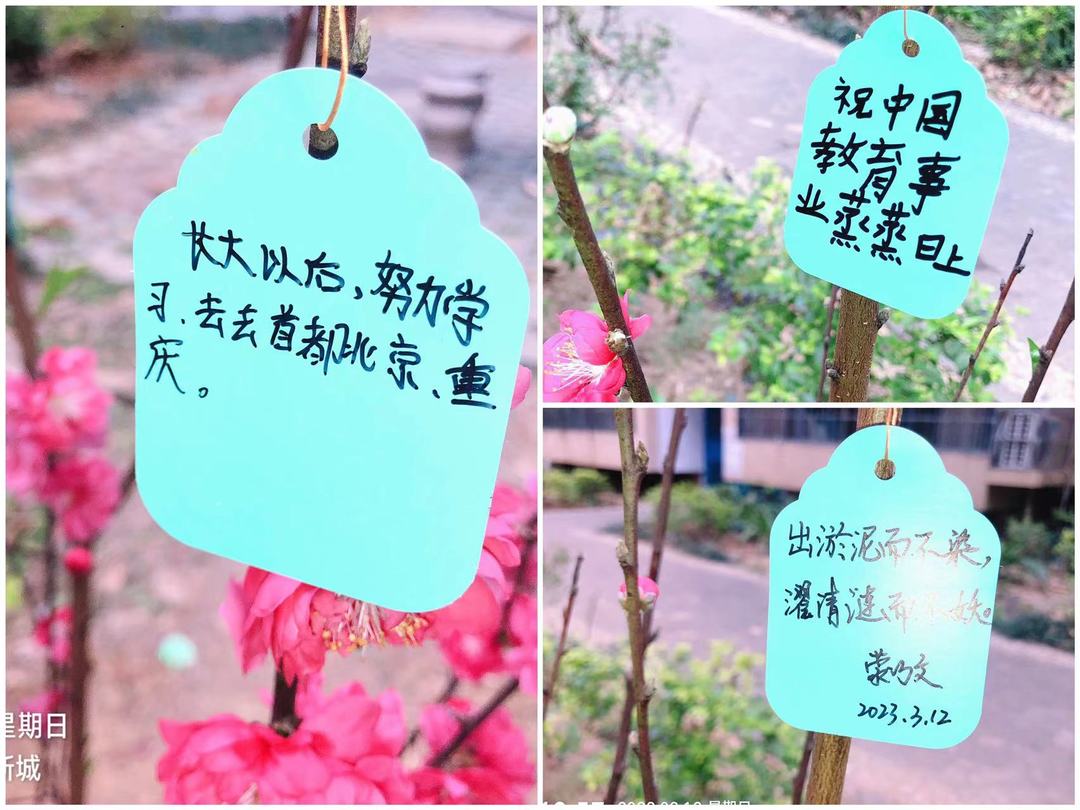 微信图片_20230313182454.jpg
